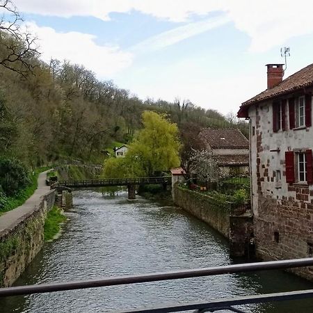 Saint Jean Pied De Port. Centre Ville. Rue Pietonne Dış mekan fotoğraf