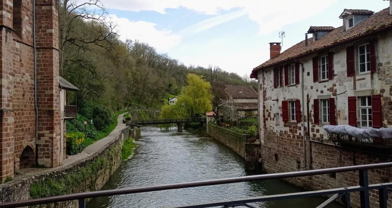 Saint Jean Pied De Port. Centre Ville. Rue Pietonne Dış mekan fotoğraf