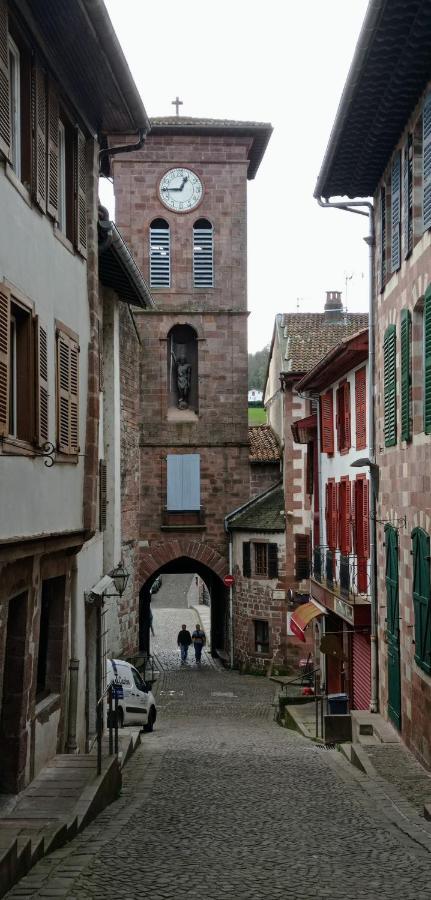 Saint Jean Pied De Port. Centre Ville. Rue Pietonne Dış mekan fotoğraf