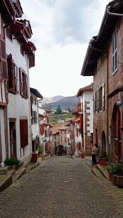 Saint Jean Pied De Port. Centre Ville. Rue Pietonne Dış mekan fotoğraf